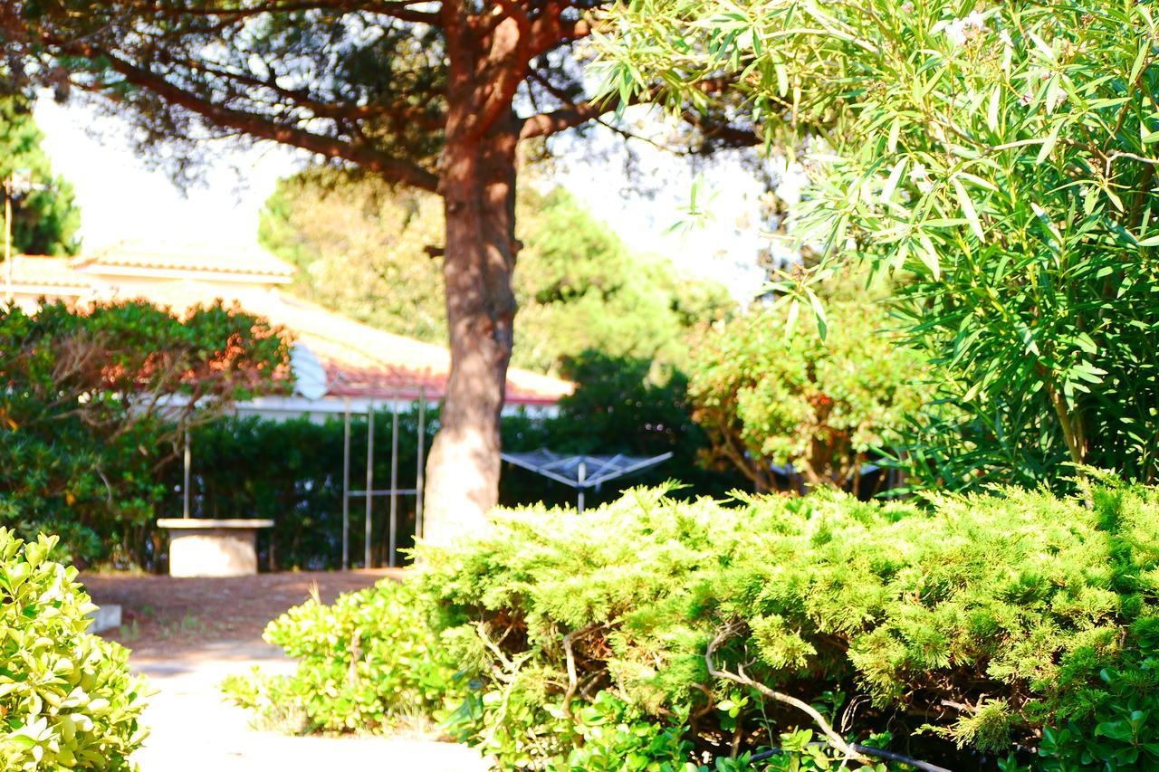 Appartamento In Villa Valentini, Fronte Mare, Giardino E Parcheggio Privato, Wifi, Dotato Di Tutti I Confort, Nel Golfo Di Gaeta Minturno Dış mekan fotoğraf